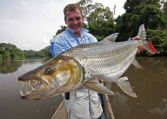 巨型水虎魚吃人照片,巨型水虎魚的天敵