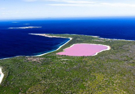 粉色的赫利爾湖是危險(xiǎn)湖泊嗎，為什么不能去