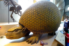 雕齒獸有沒有滅絕,雕齒獸有天敵嗎