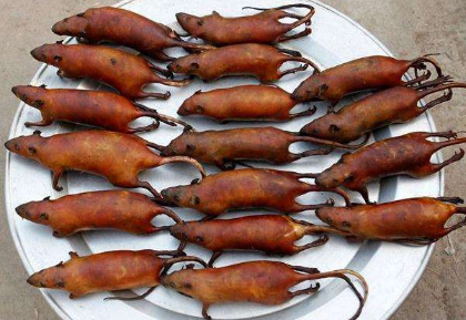 老鼠肉能吃嗎，老鼠肉什么味道