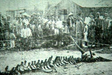 營口墜龍事件是真的嗎，這就是被隱藏的真相