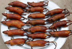 老鼠肉能吃嗎,老鼠肉什么味道