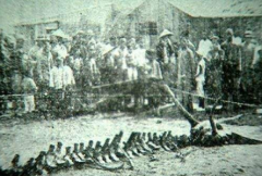 營口墜龍事件是真的嗎，這就是被隱藏的真相