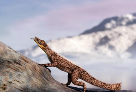 狗鱷比鱷魚多四條腿，奔跑速度快如閃電