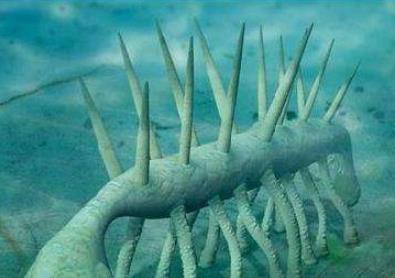 怪誕蟲有毒嗎, 怪誕蟲與恐龍的共同點(diǎn)