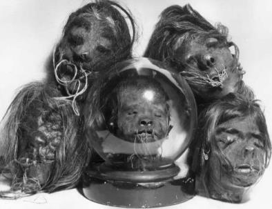 縮頭術是真的嗎,印第安人縮頭術博物館