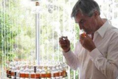 聞香師怎么考，學(xué)3年靠鼻子聞香水工資趕超白領(lǐng)