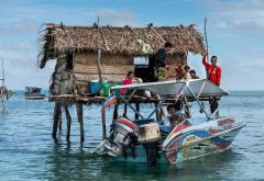 巴瑤族為什么不能上岸，巴瑤族人怎么生孩子