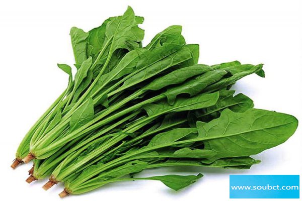 豌豆不能和什么一起吃，菠菜和豌豆同食會阻礙鈣吸收