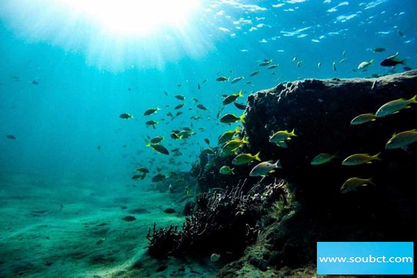 實心鐵球能沉到海底嗎,深海魚不會被壓死嗎