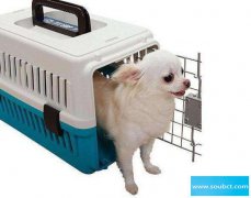 寵物托運一般多少錢啊，辦理寵物托運手續(xù)和流程