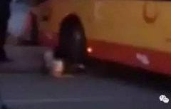 青州513事件怎么解決的,青州513事件后續結果