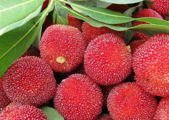 昆明有什么特產可以帶走送人，昆明最有名的特產