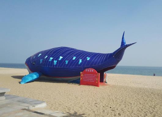 最大的鯨魚是什么鯨，藍鯨為什么會噴水