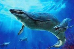龍王鯨怎么滅絕的，龍王鯨和滄龍誰厲害