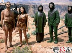 人猿雜交成功了嗎,人猿雜交的可能性大不大