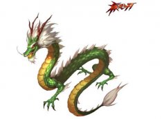 四大神獸誰是老大，四大神獸為什么沒麒麟