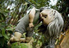 娃娃島為什么有娃娃呢，娃娃島的娃娃可以拿嗎