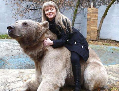 最大的熊是什么熊,科迪亞克島棕熊和北極熊誰厲害