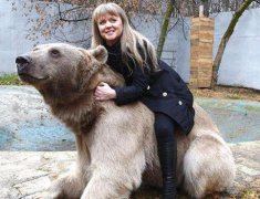 最大的熊是什么熊,科迪亞克島棕熊和北極熊誰厲害