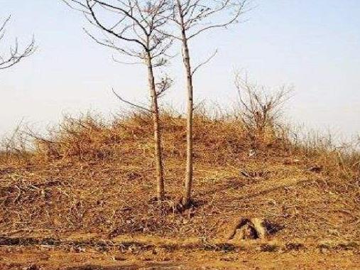 呂布墓真的的出土了嗎，呂布墓為什么沒有人敢盜