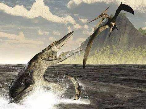 海王龍和滄龍誰更厲害，海王龍是不是海底的霸王