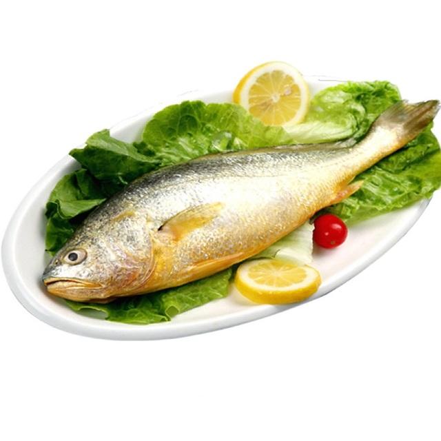 黃瓜魚一斤多少錢,市場價為什么那么貴