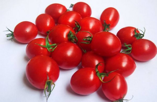 圣女果和西紅柿的區別，有一部分是轉基因