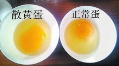雞蛋黃散開了還能吃嗎,雞蛋黃怎么熬出油