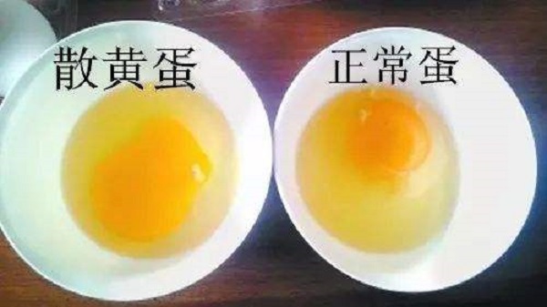 雞蛋黃散開了還能吃嗎，雞蛋黃怎么熬出油