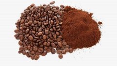 可可豆和咖啡豆的區別