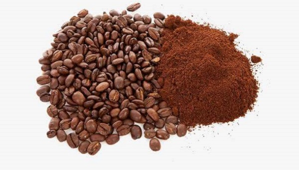 可可豆和咖啡豆的區別
