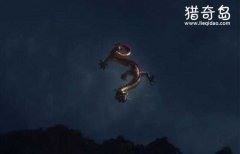 龍是否真的存在，中國不敢公開發(fā)現(xiàn)龍的原因