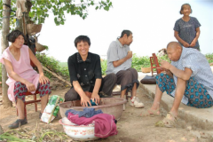 走近科學(xué)猴娃的真相,身世之謎引猜測(cè)