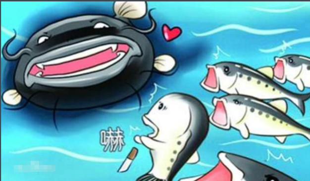 鯰魚效應是指的什么意思 三點啟示 小故事