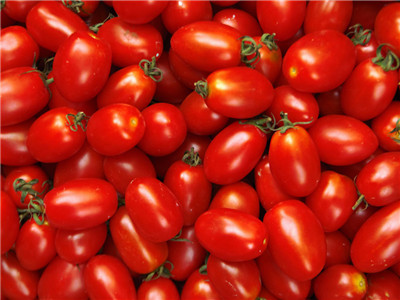 圣女果是雜交的,那算是轉基因水果嗎