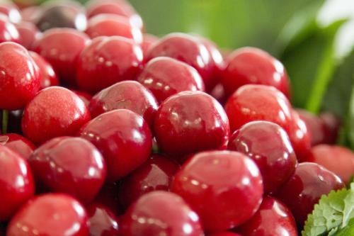 梅棗和車厘子的區別 產地是哪里的 多少錢一斤