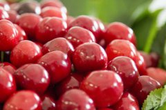 梅棗和車厘子的區別 產地是哪里的 多少錢一斤