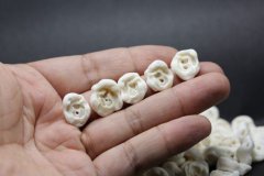 豬驚骨帶一個還是一對 為什么會辟邪不能帶