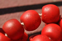 雪巴珠是什么材質(zhì) 來(lái)歷 鑒定方法