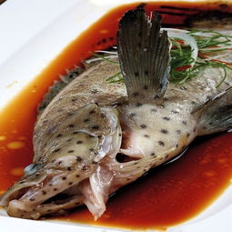 老虎斑魚有毒素嗎