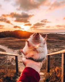 趙雷的粉絲叫小刺猬嗎