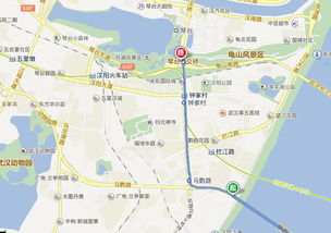 鸚鵡洲大橋限號嗎