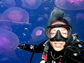 埃及是哪個(gè)國家的