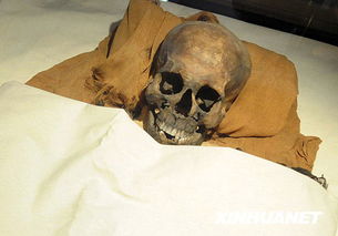 埃及有木乃伊嗎