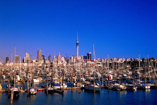 奧地利維也納的國際組織