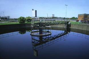 澳大利亞的大自流盆地