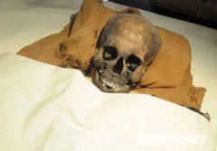 埃及有木乃伊嗎