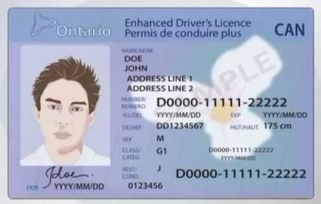 中國(guó)駕照加拿大能用嗎