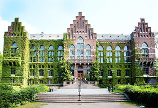 瑞典的語言是什么